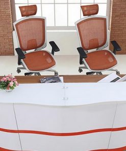 Reception Counters