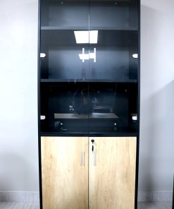 2-door Glass Cabinet